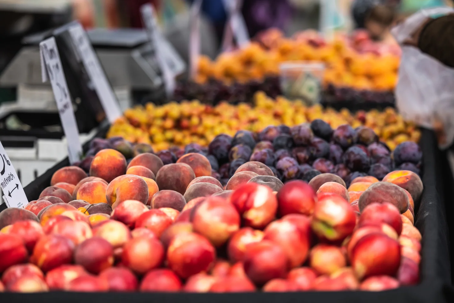 Ski Run Farmers' Market — SunSnow Event Company