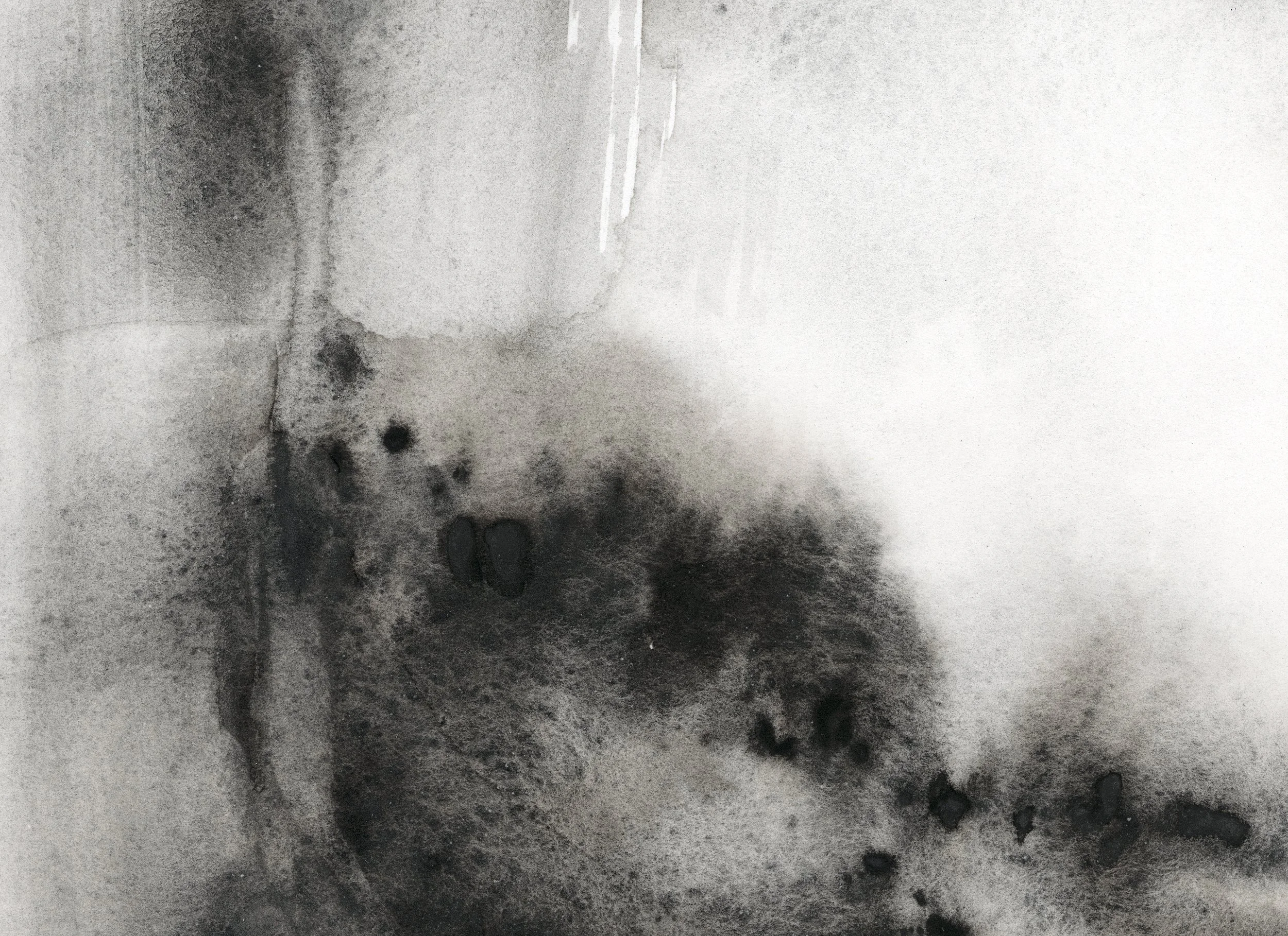 gaspesie_abercorn_en_mouvance_04_b detail-4.jpg