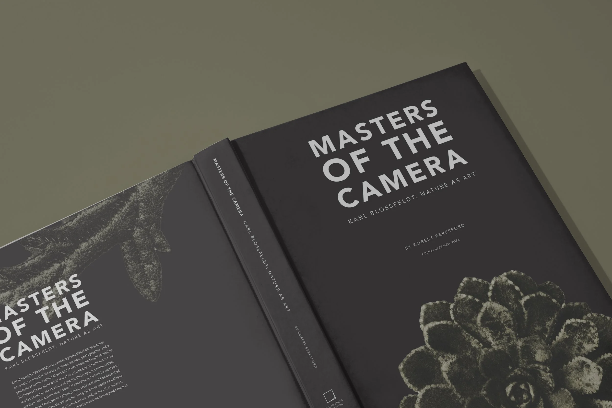 Masters Of The Camera