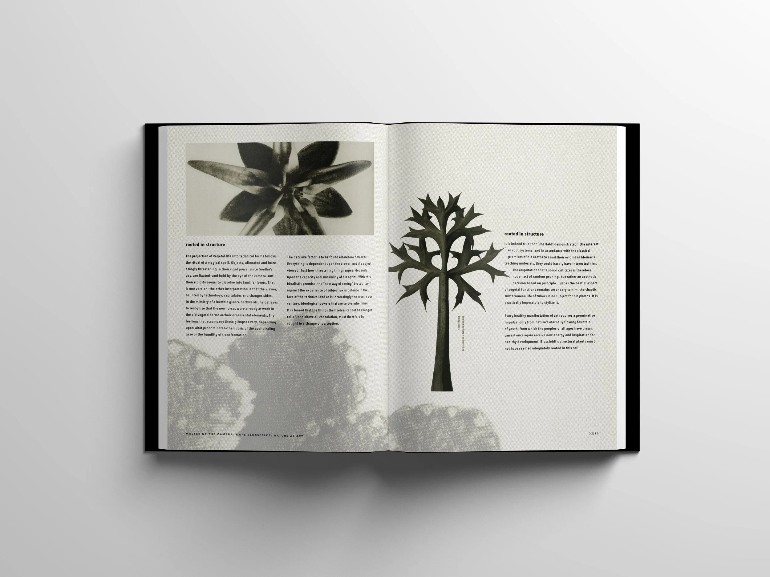 Lenard-Shavonne_MFA-Midpoint-Portfolio_Page_326.jpg