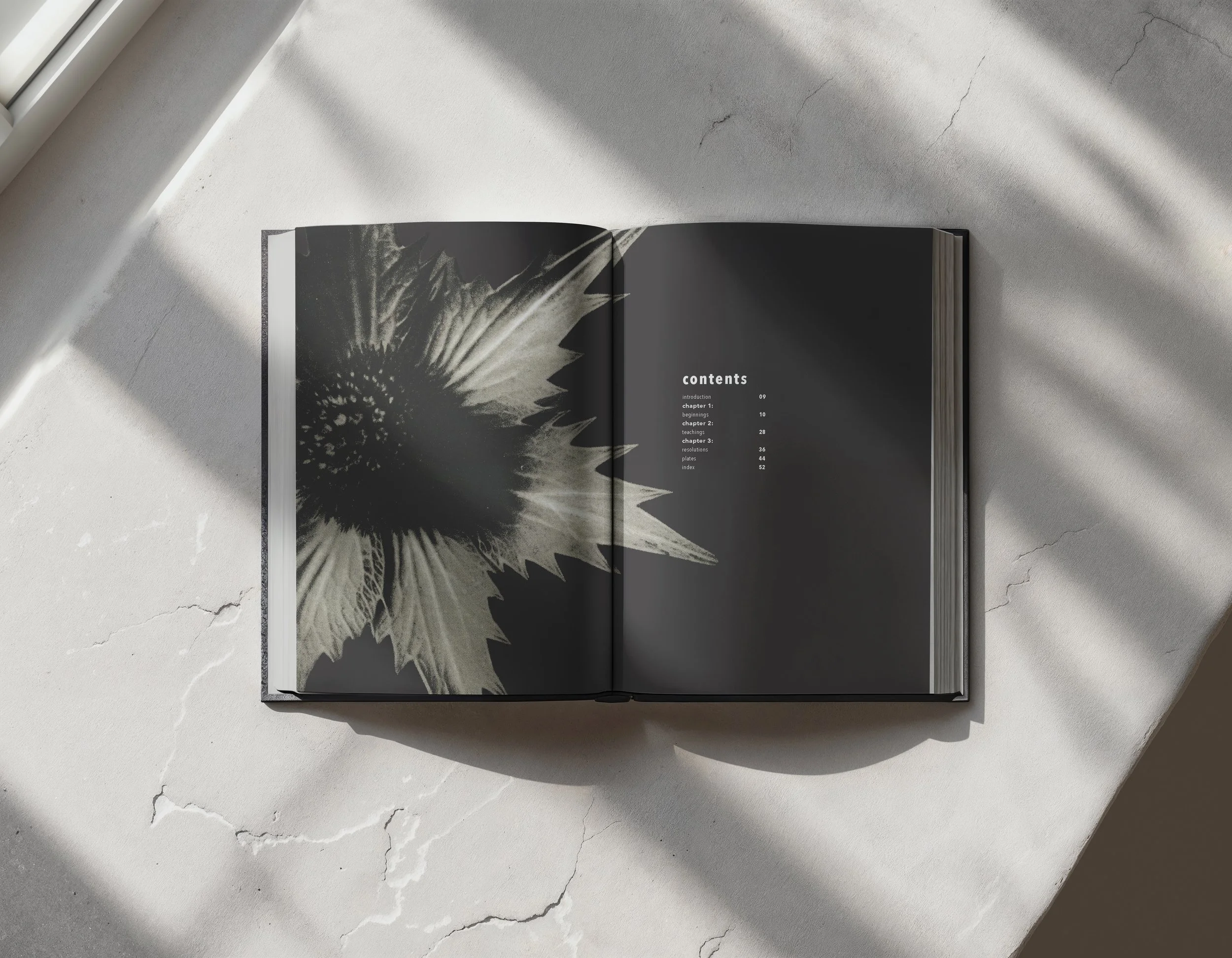 416724670_11640850 copy.jpg