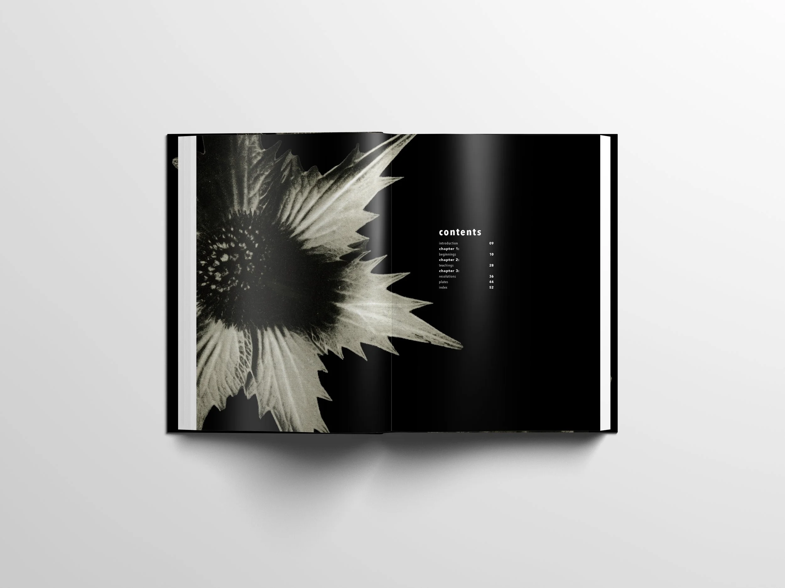 Lenard-Shavonne_MFA-Midpoint-Portfolio_Page_323.jpg