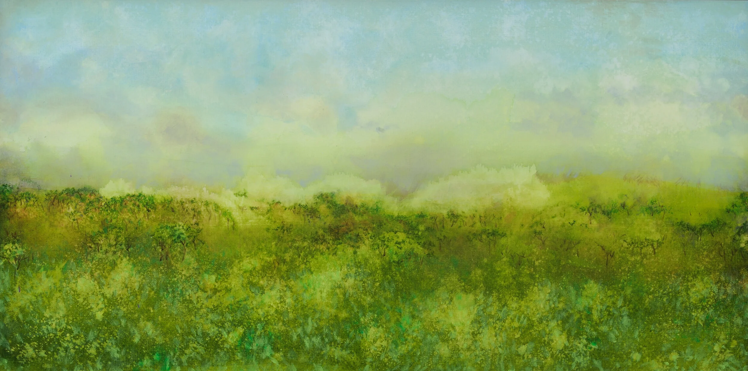 Lowcountry