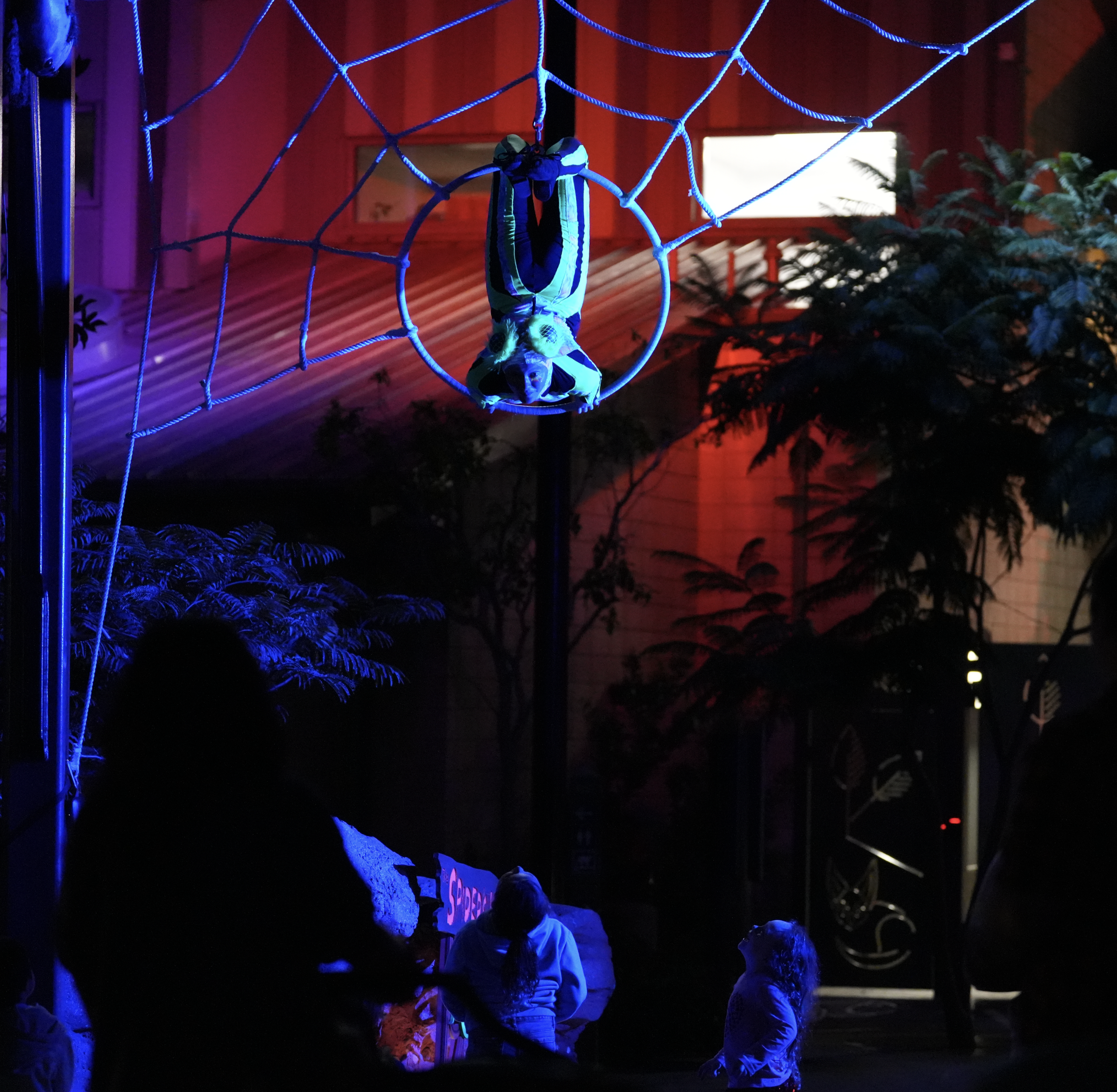 DSC08592 (Portion).png