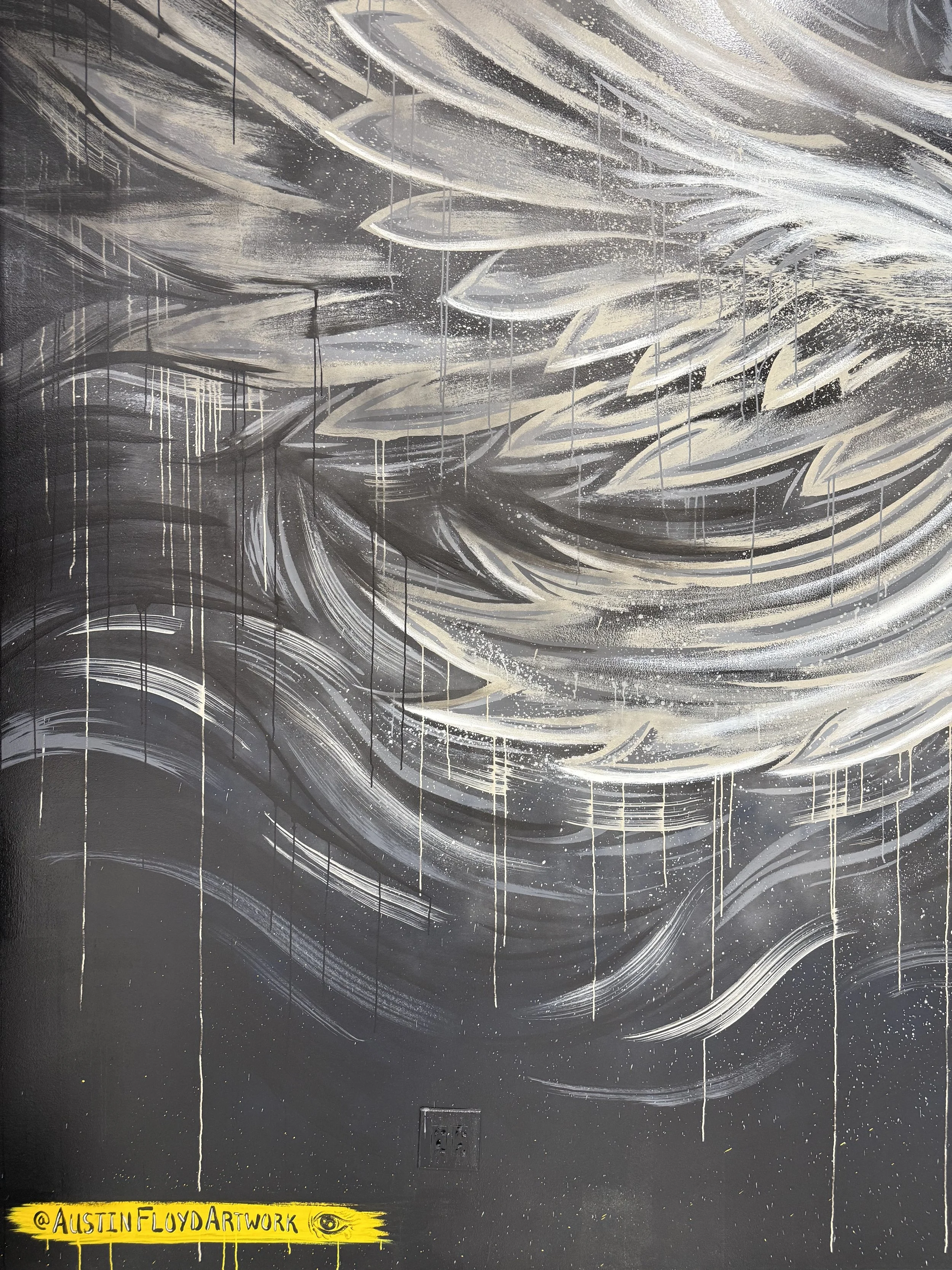 Florida Eagle - feathers.jpg