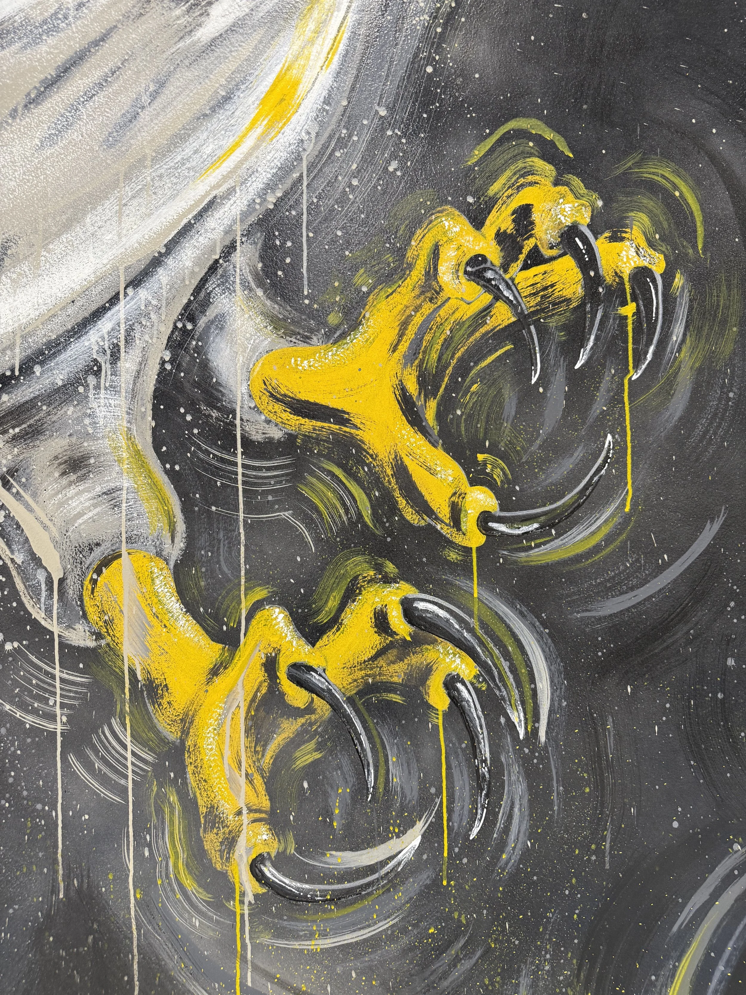 Florida Eagle - talons.jpg