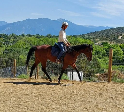 imagejpeg_0 copy.JPG