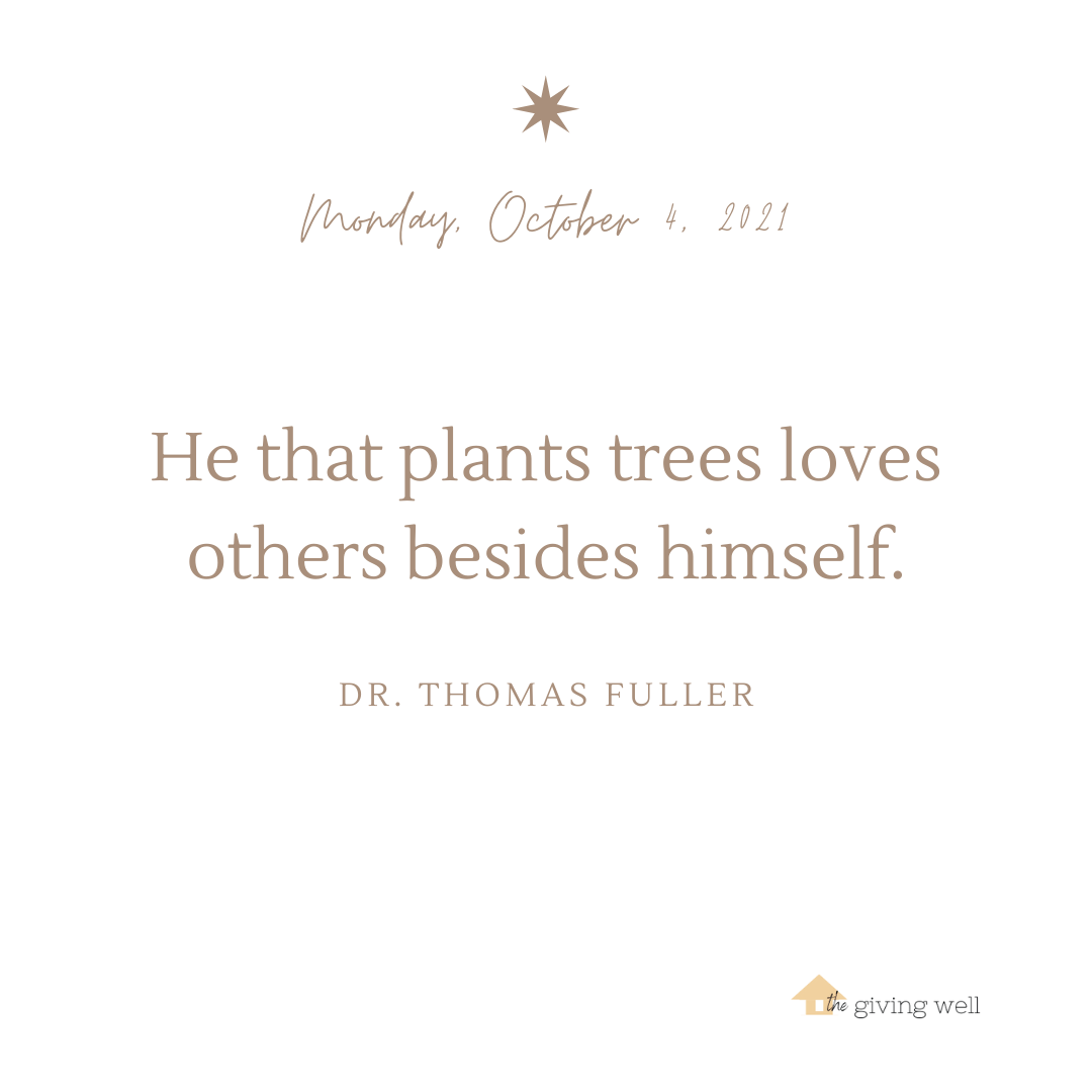 Journal Prompt:
What is your current relationship with nature?