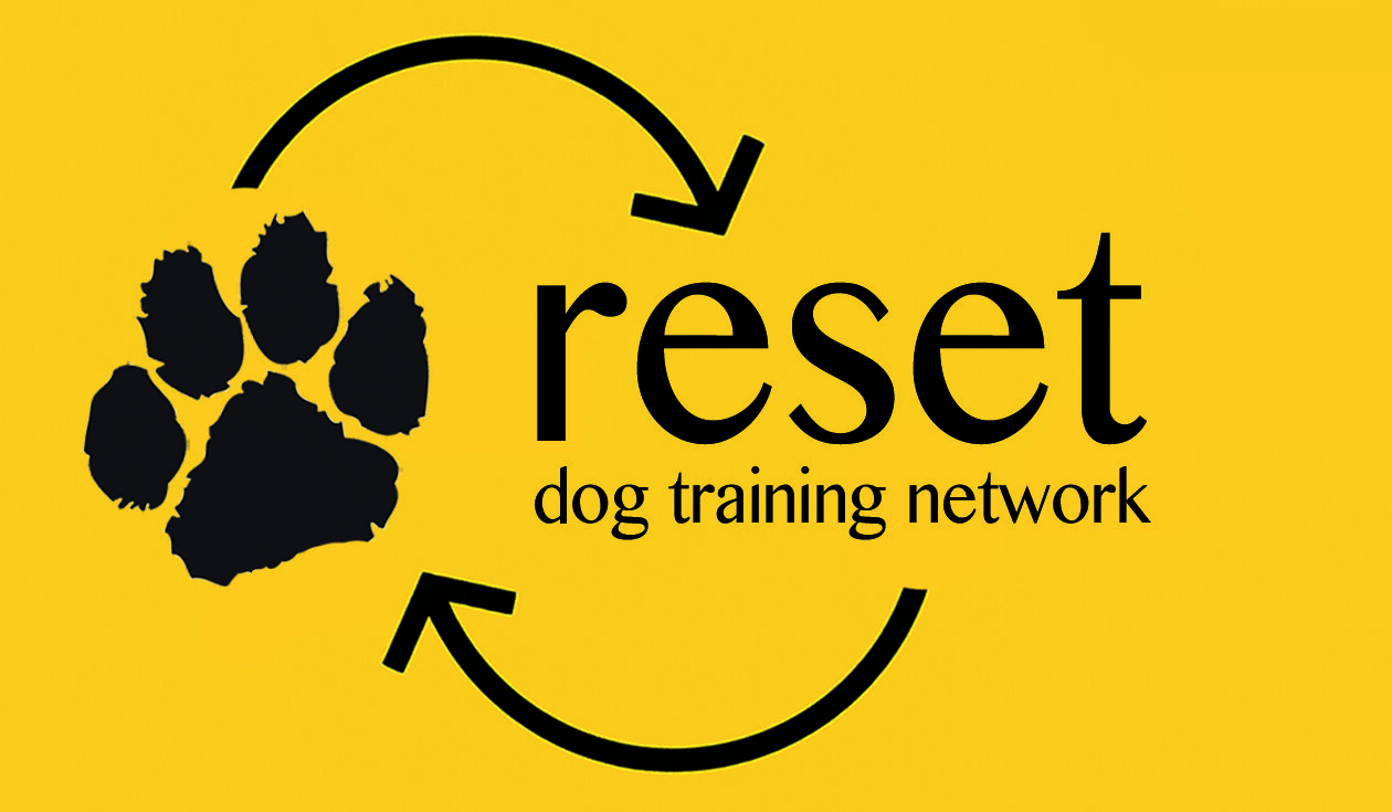 Reset Logo.jpg