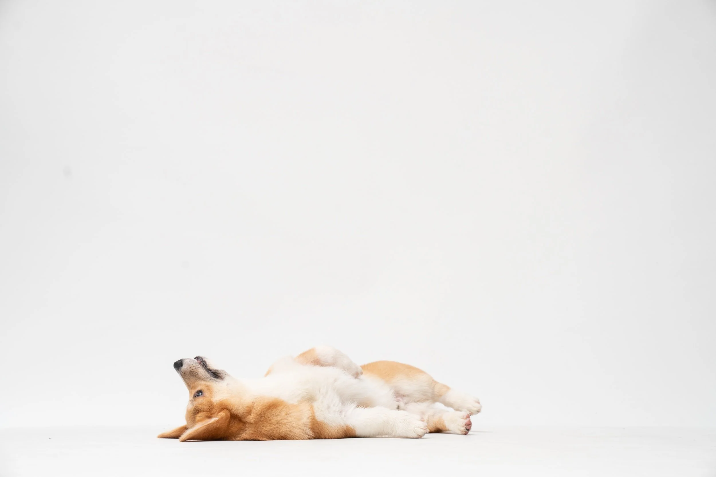 unsplash-image-EpRAM95thHU.jpg