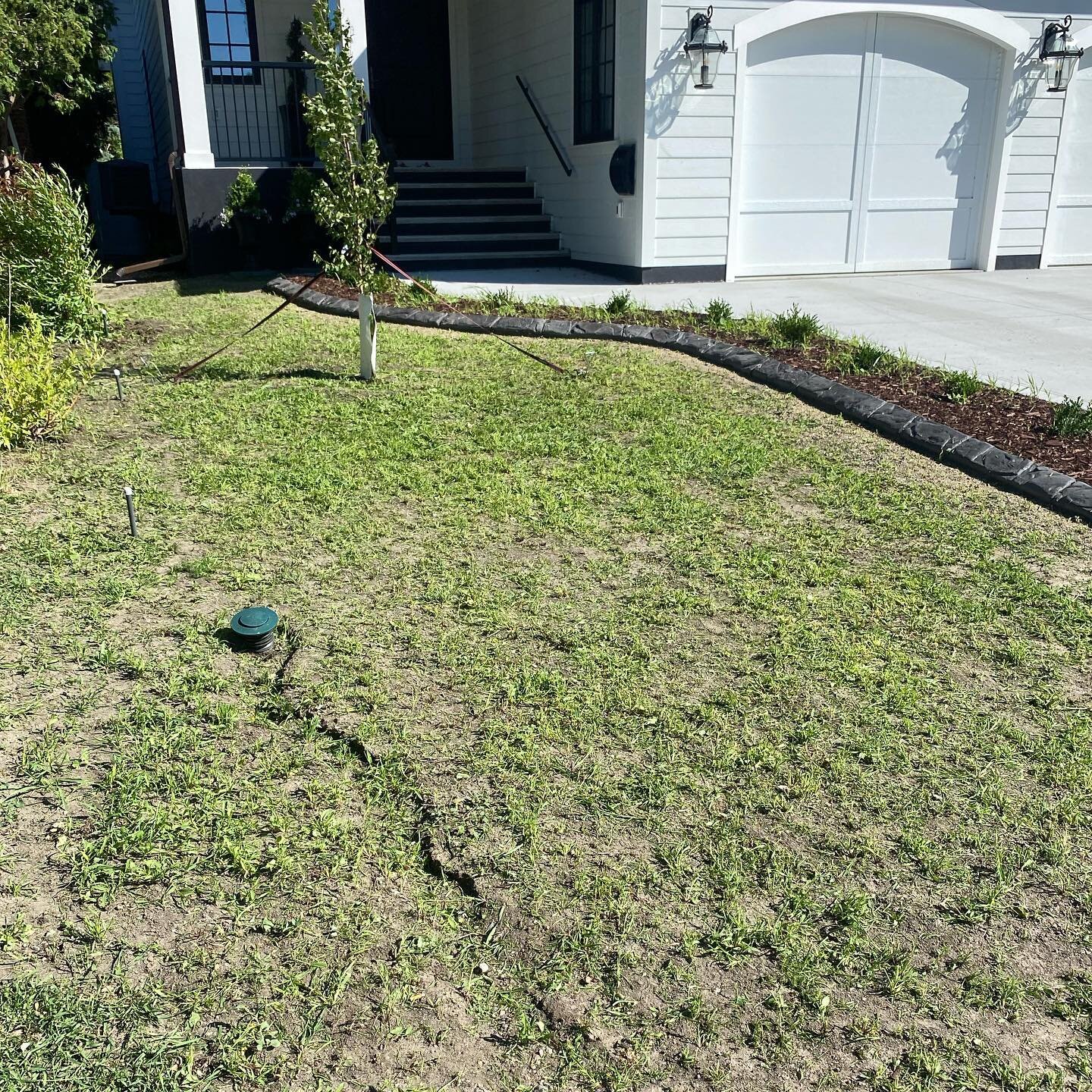 BEFORE ➡️ PROGRESS ➡️ AFTER 
Laying sod, adding a tree ring, and cleaning up edging and bushes is a quick and easy way to add major curb appeal to any front yard. 🏡 

#yqr #yqrlawncare #yqrservice #yqrserviceprovider #Reginalawncare #landscaping #so