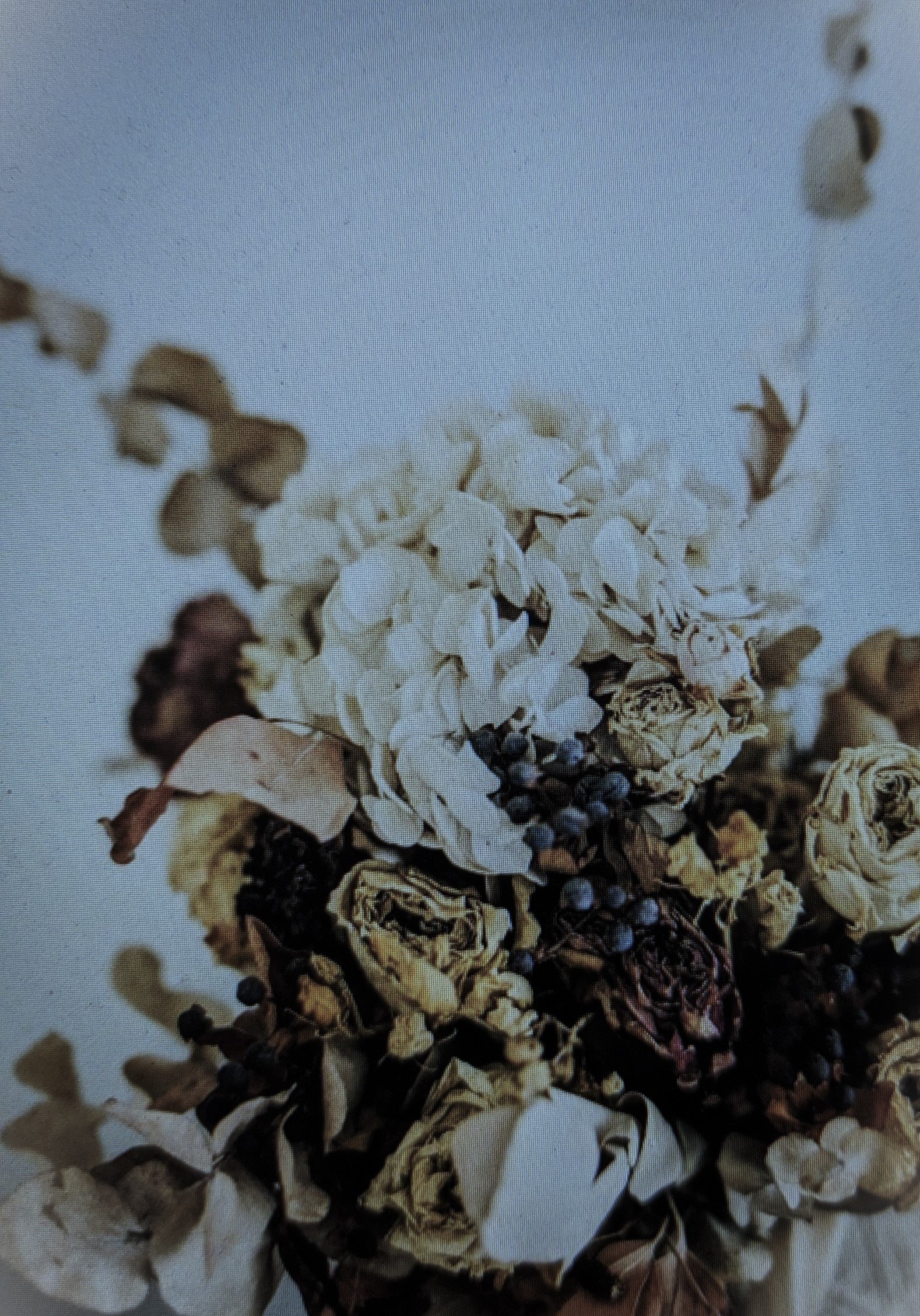 Withered Flowers