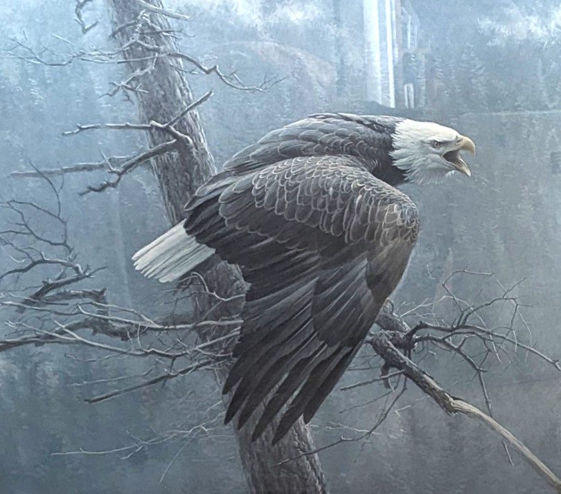 The Eagle