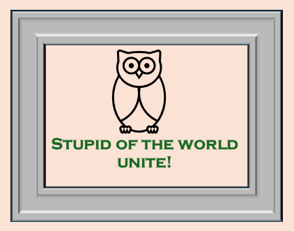 On Stupidity