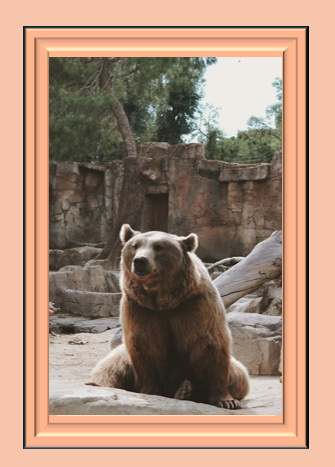 On Bears and Bombs