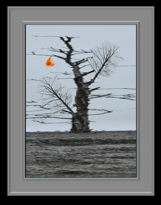 Sick Tree