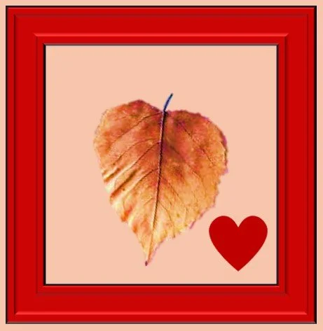 Dry Leaf