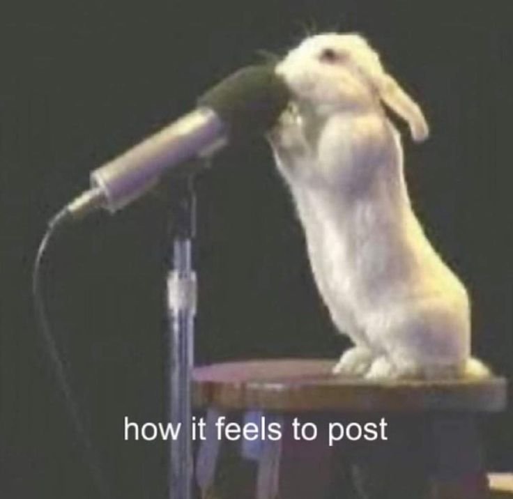 _ (31).jpeg