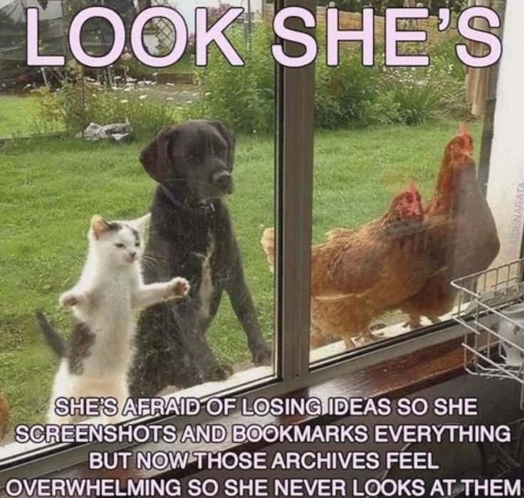 _ (33).jpeg