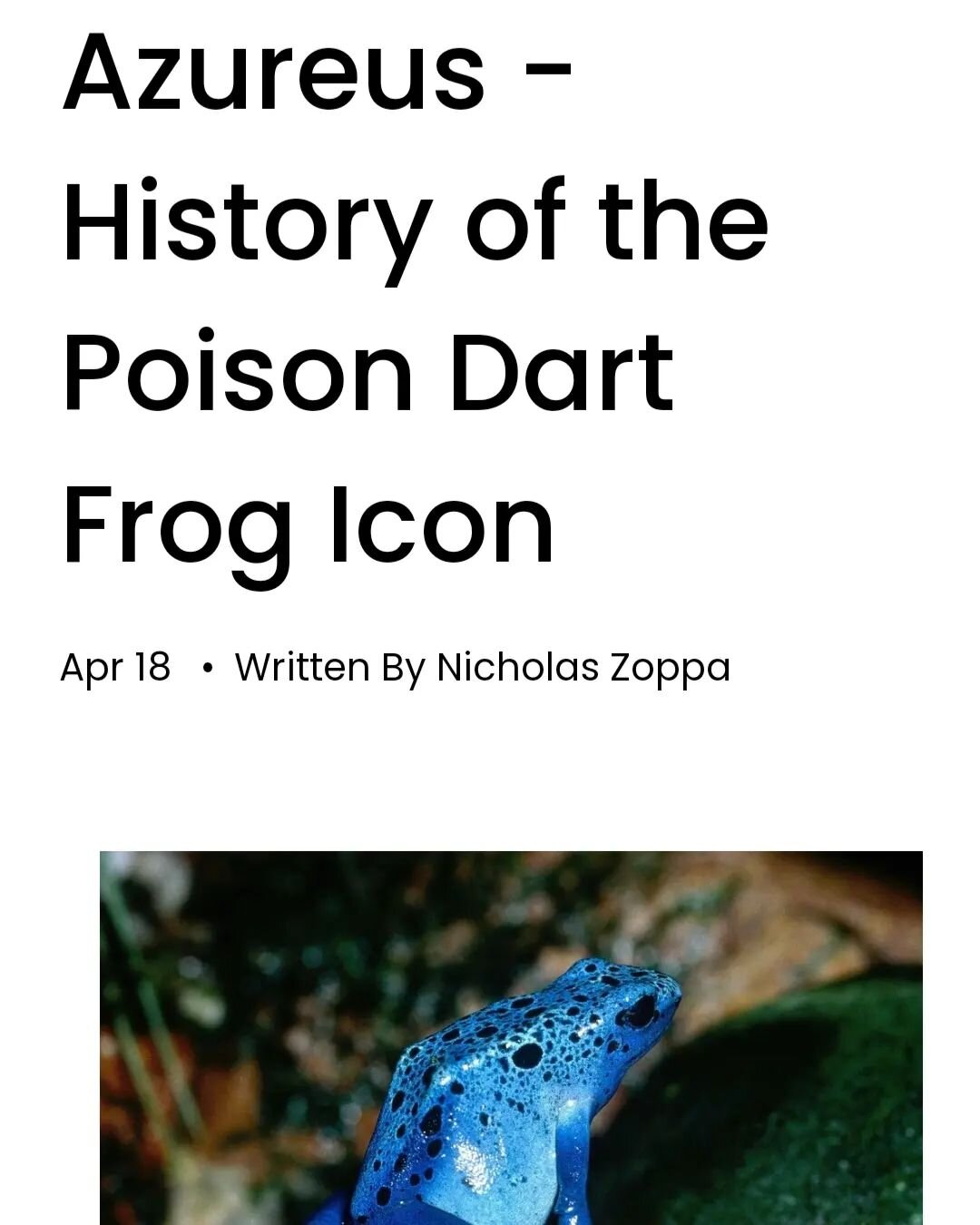 To all my fellow Azureus lovers... 

Ever wonder how these beautiful blue frogs called Azureus got here in the first place? 

Did you know how long they've been in the hobby? 

Well this article is sure to clear up a lot you may have wondered about. 