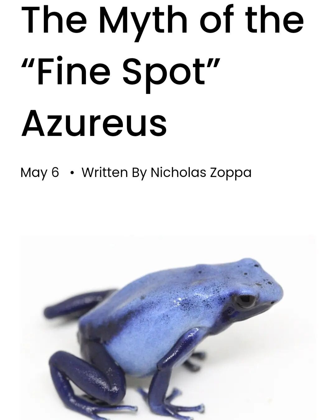 New article tackling one of the biggest arguments in the dart frog hobby. 

Finespot Azureus... Natural or linebred? 

Check it out for yourself! 

https://www.tinctank.com/articles/the-myth-of-the-finespot-azureus 

⬆️ LINK IN BIO ⬆️ 

#dendrobates 