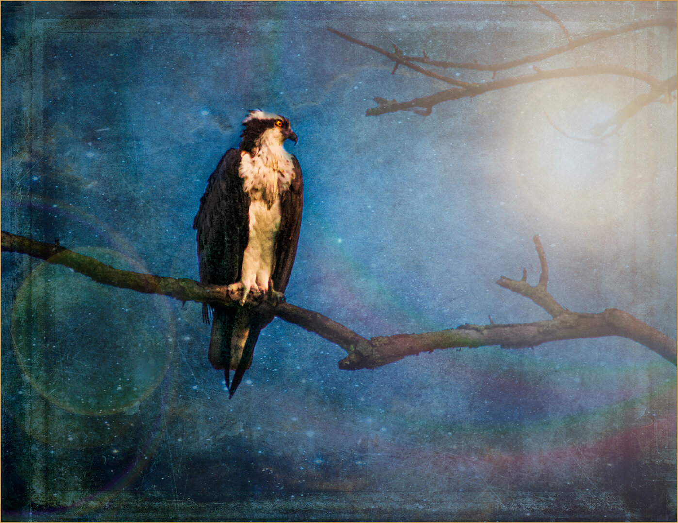 "How Sweet the Moonlight"