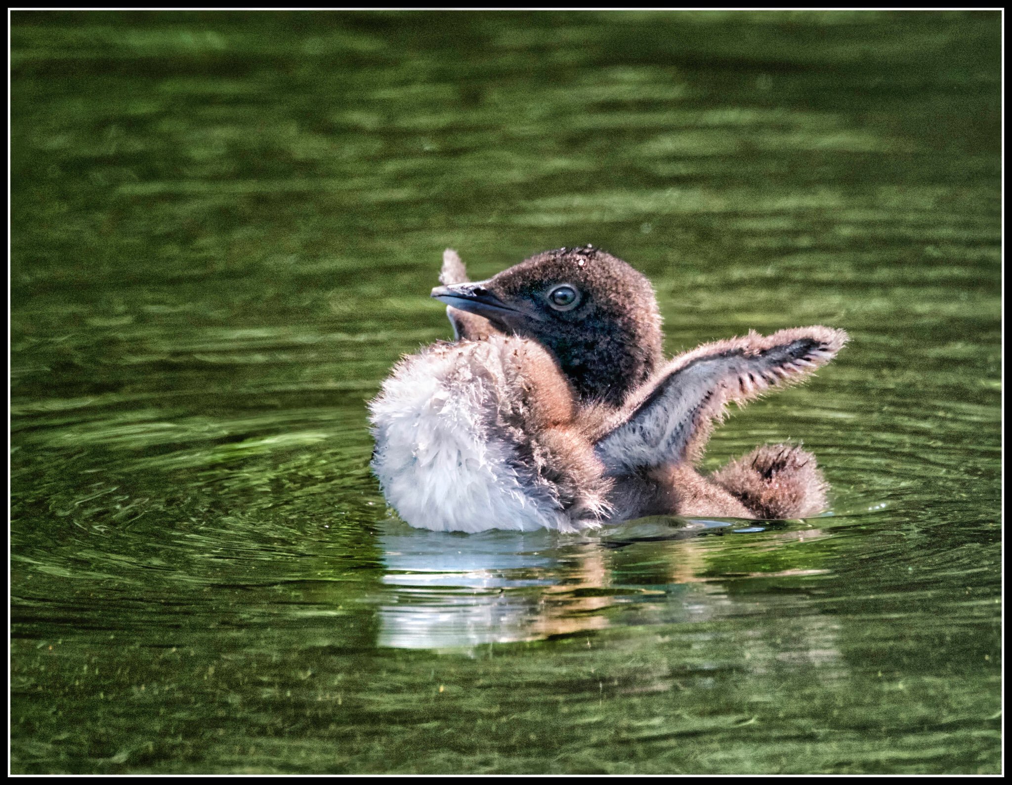 "Born To Be Wild"