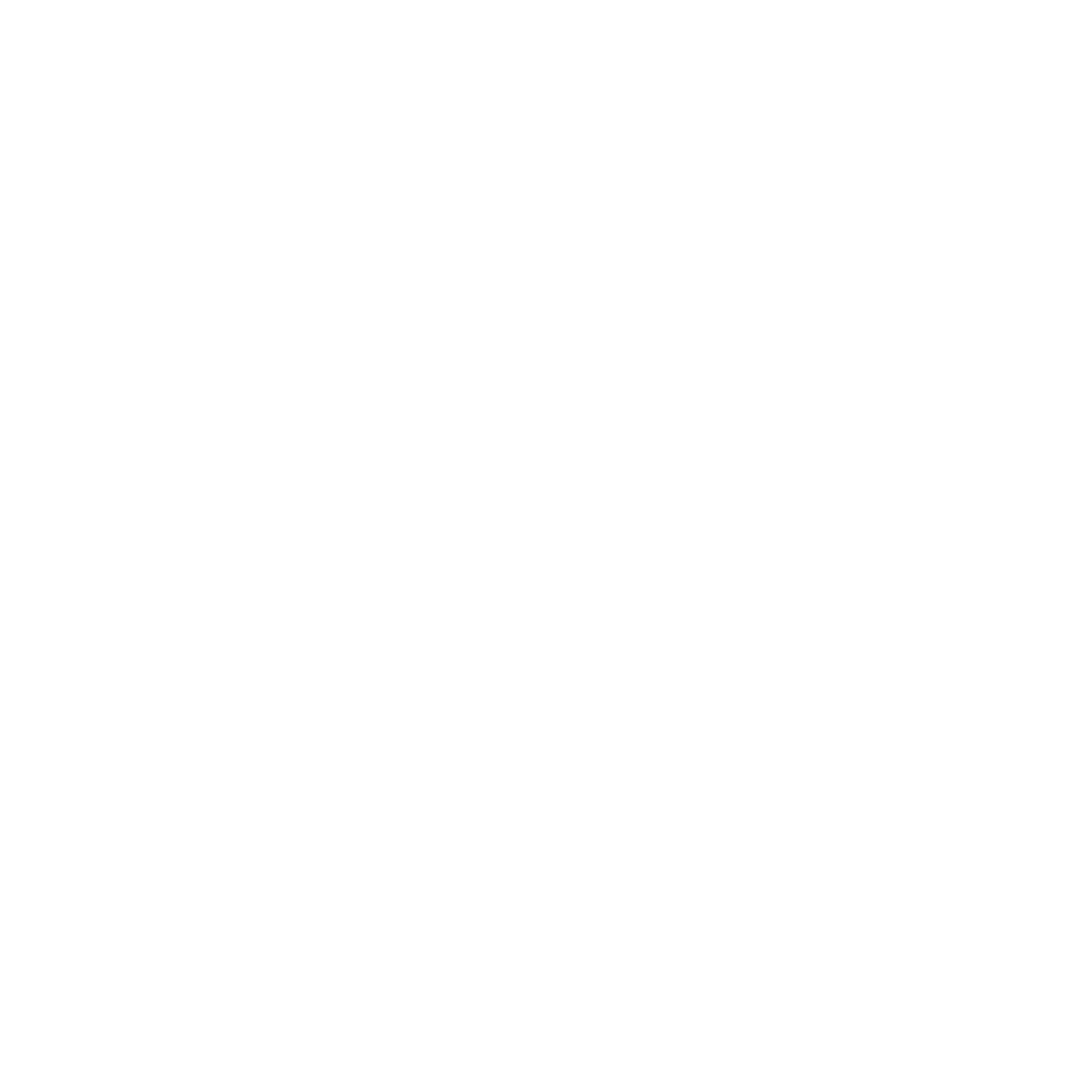Feilding Dolphins • 2025