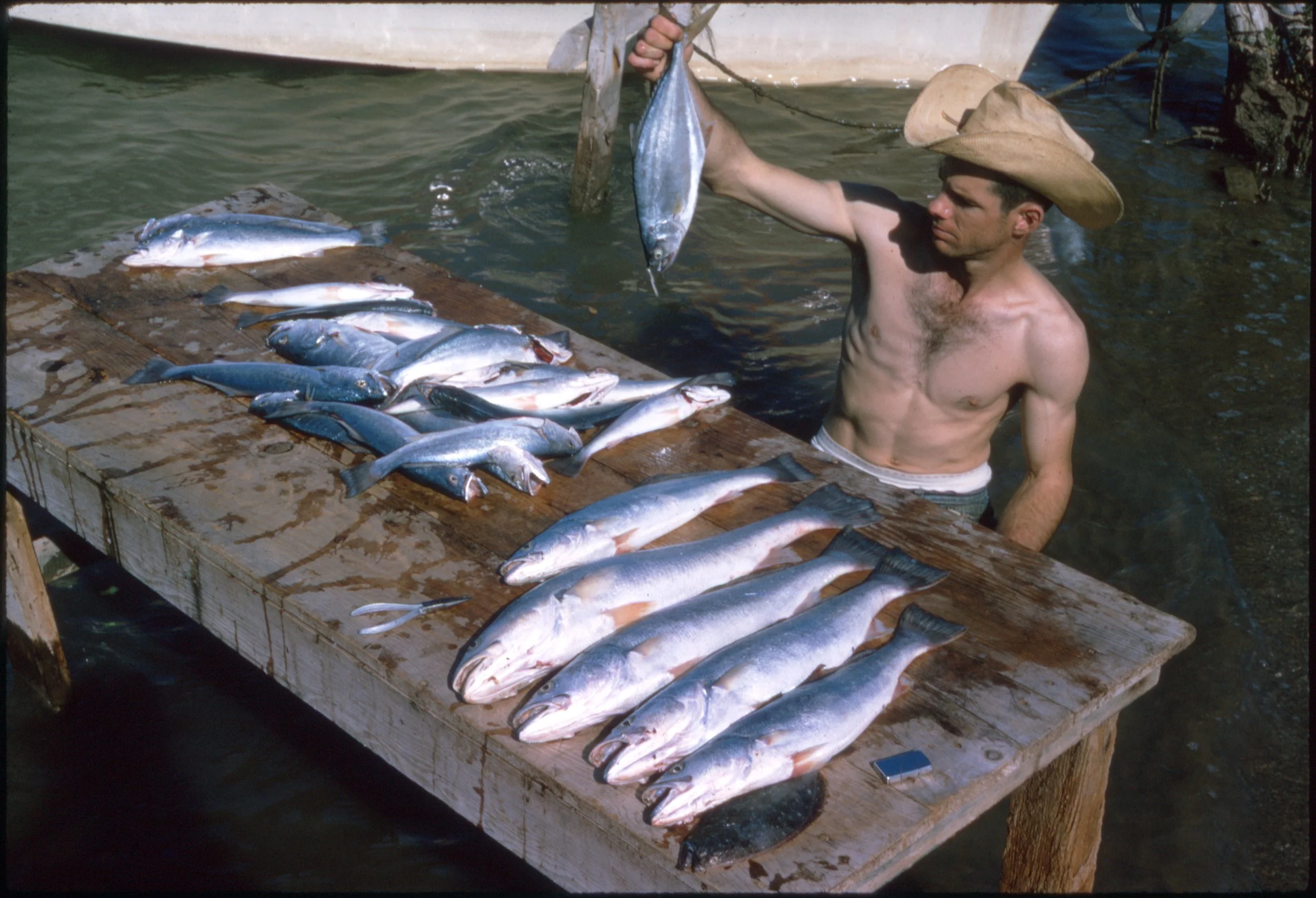 Kodachrome004.jpg