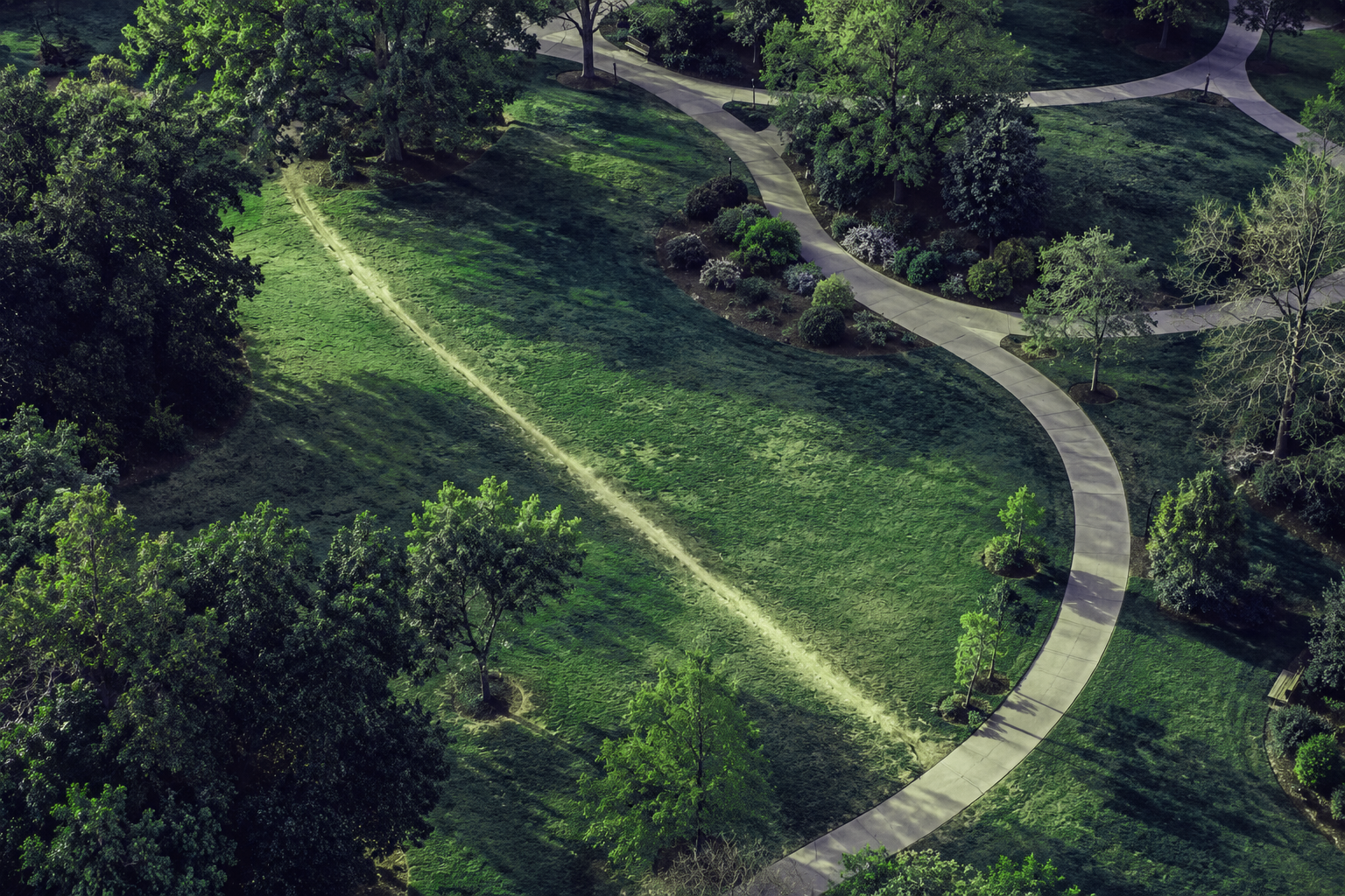 Why Strata Systems Adapt Faster Than Strata Reforms