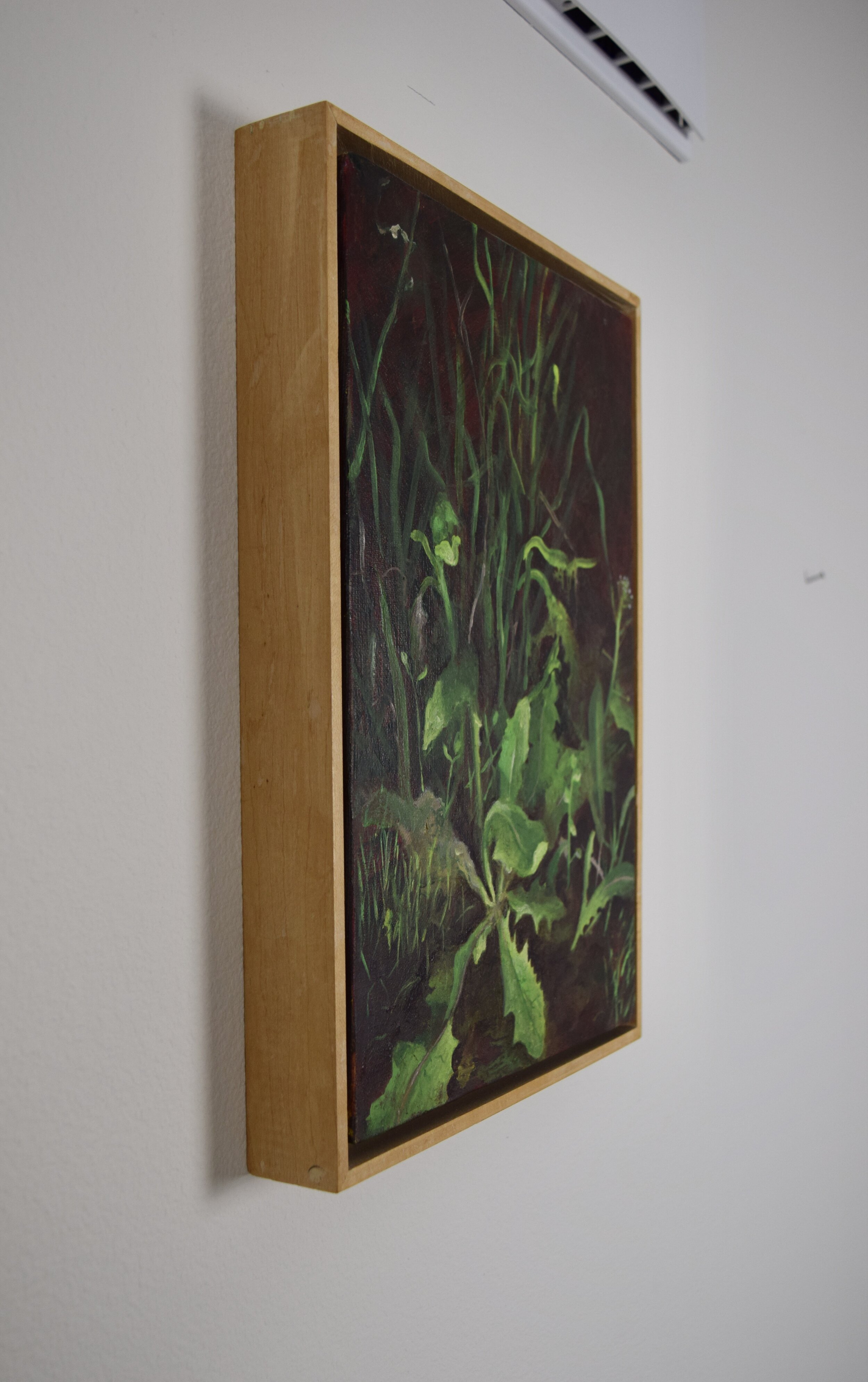 DSC_1332.jpeg