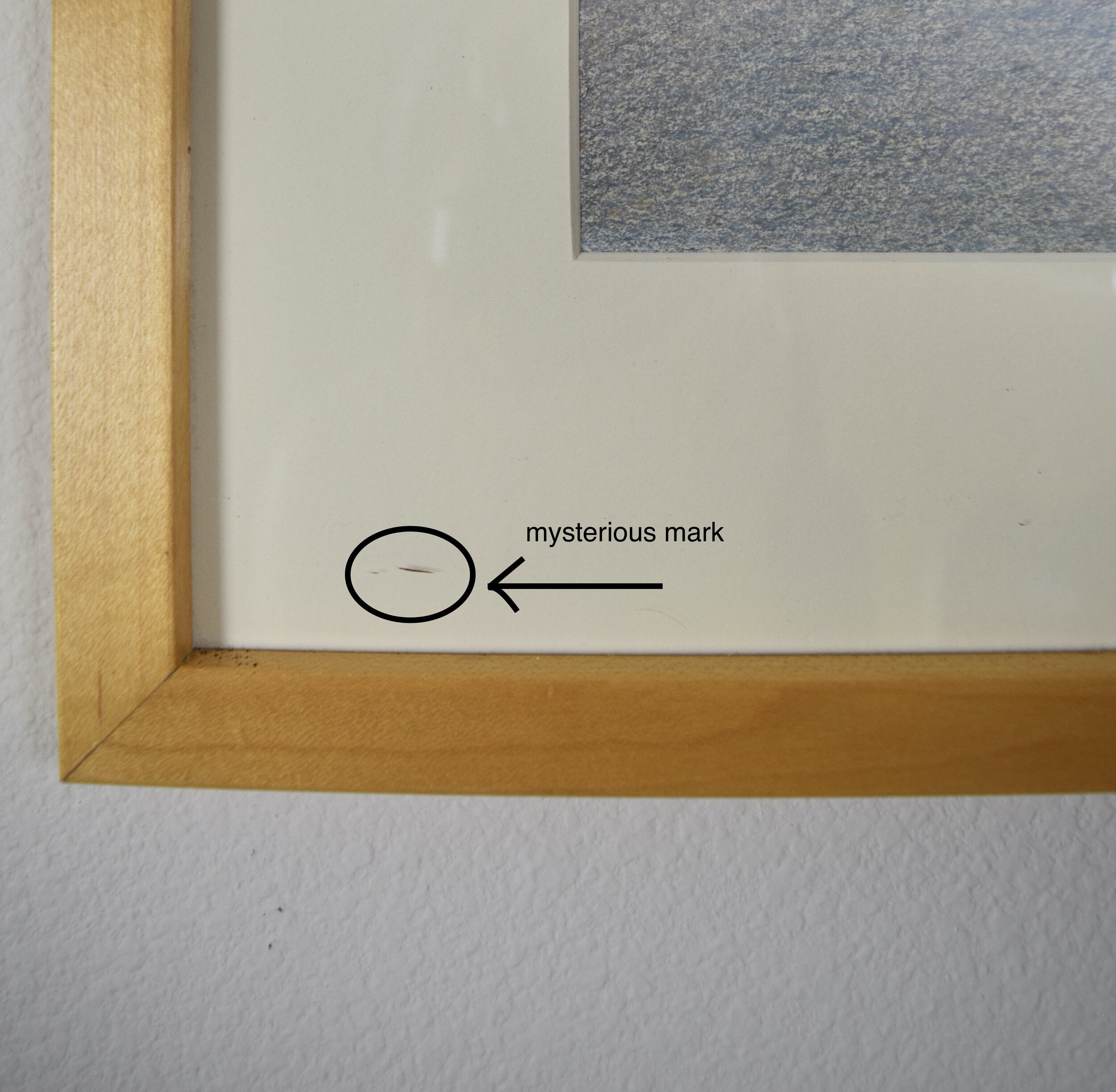 DSC_1356.jpeg
