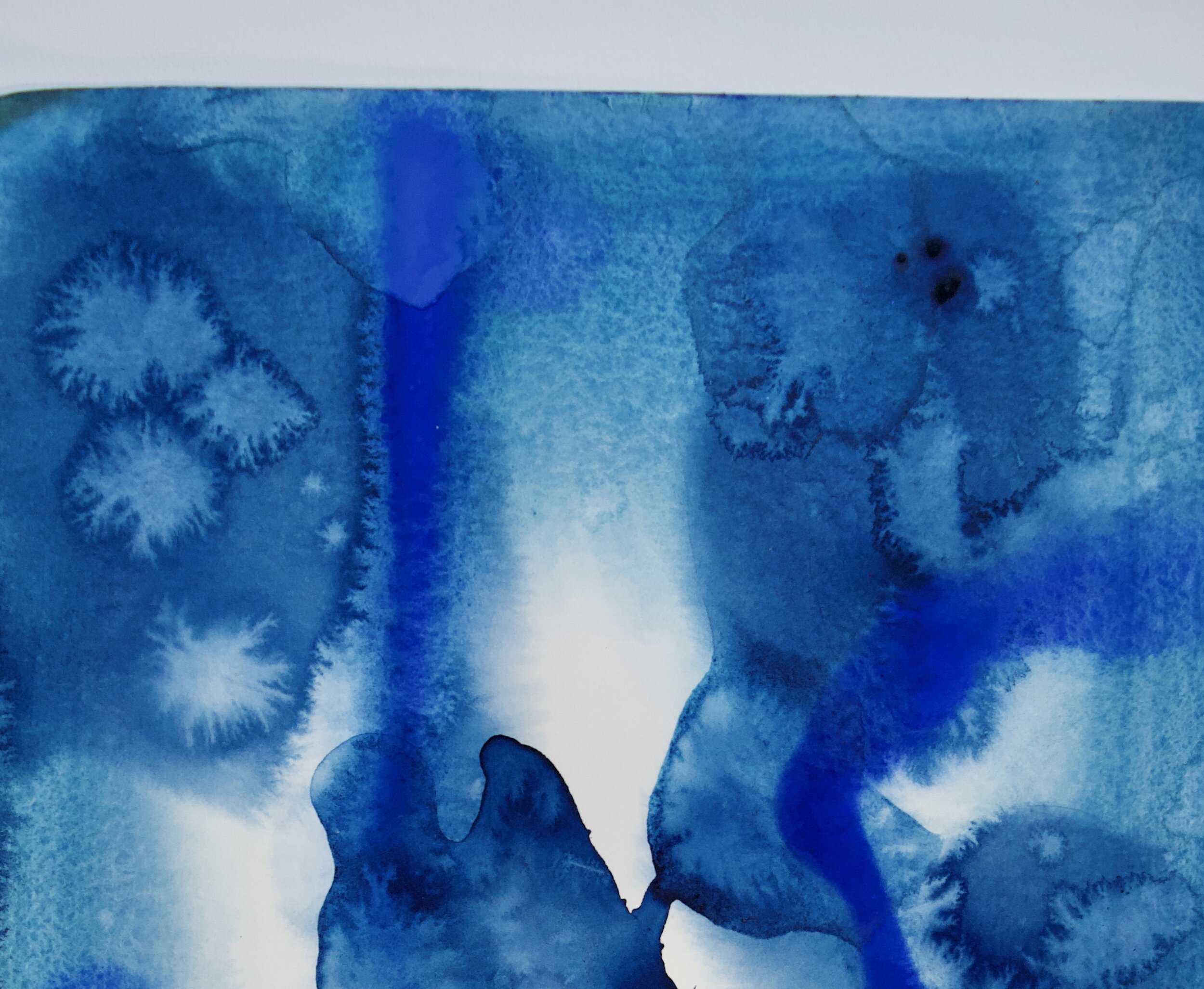DSC_1217 2.jpeg