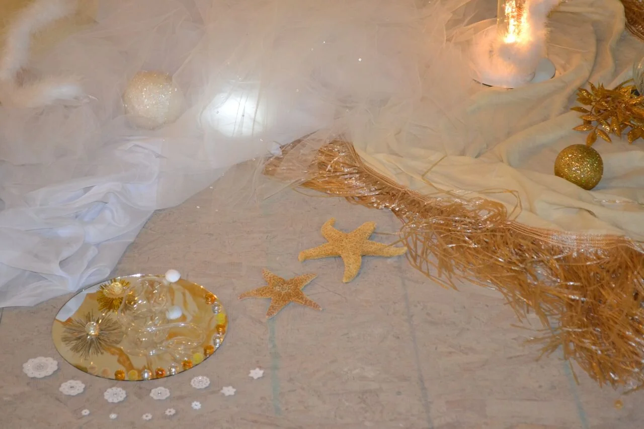 cloak of heaven 2012 detail 2.jpg