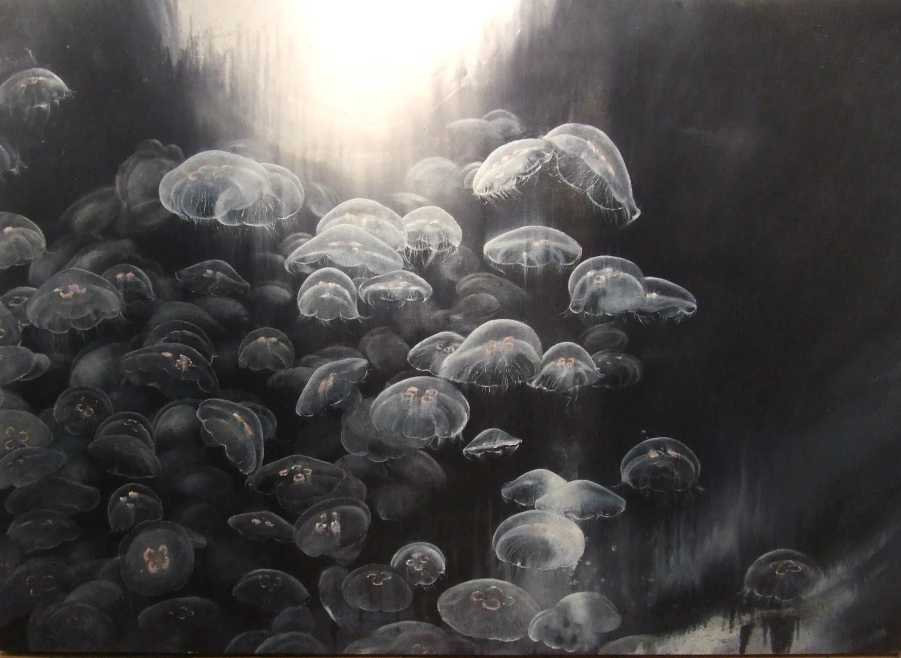 DSCF5058.jpg