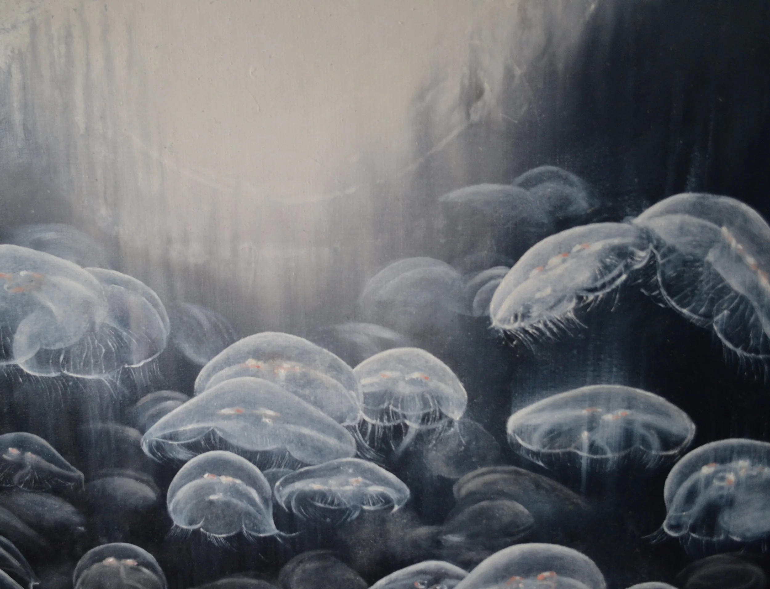 Moonjellies detail a.jpg