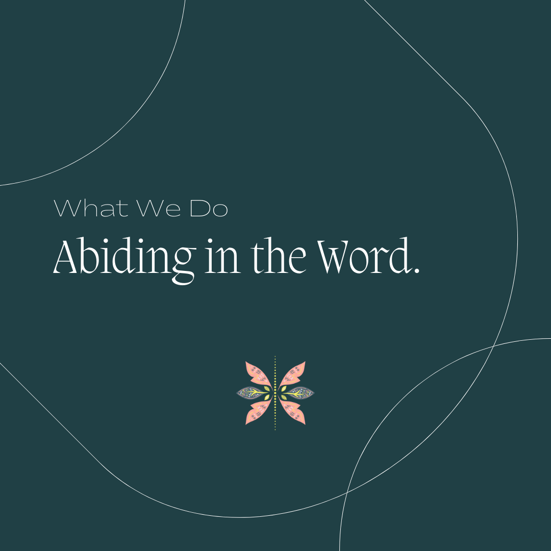 O cetate asezata pe un munte