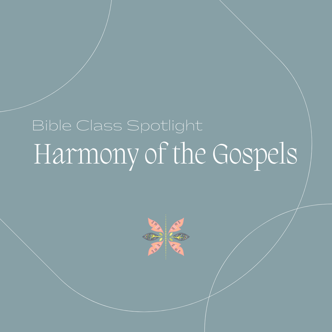 Bible Class Spotlight: Harmony of the Gospels