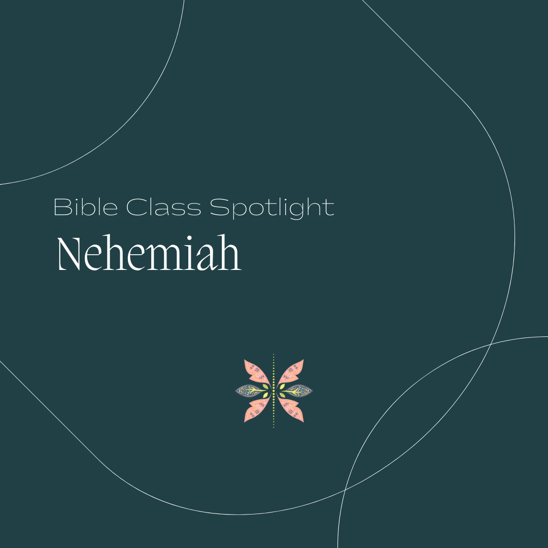 Bible Class Spotlight: Nehemiah