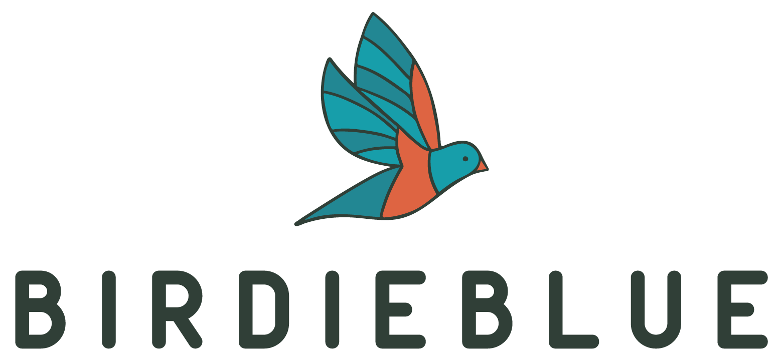 BirdieBlue_Primary_Color (1).png