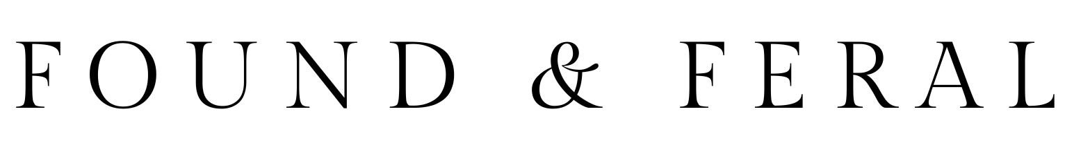 logo-nobackground (1).png