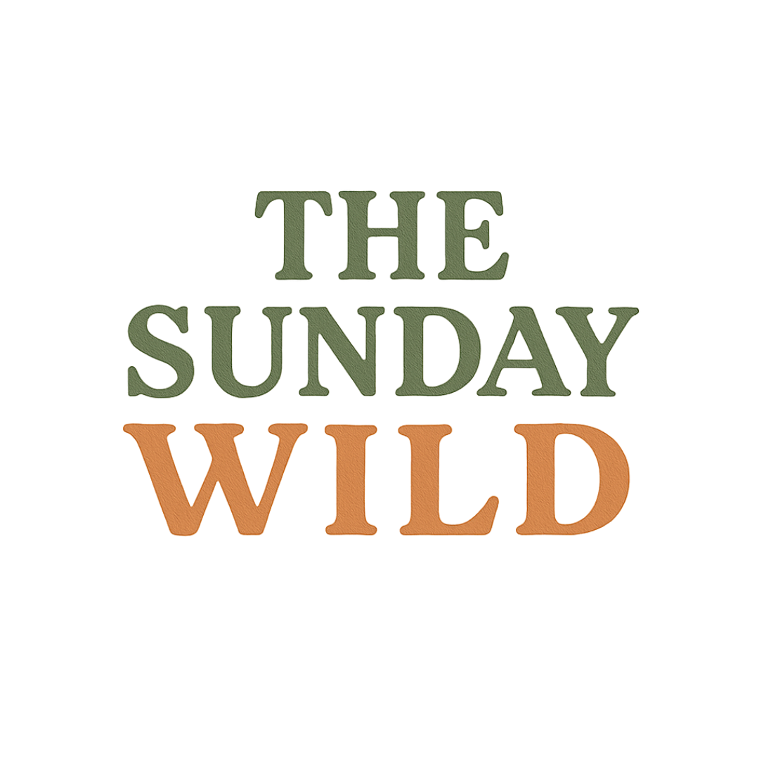 Untitled design (3).png