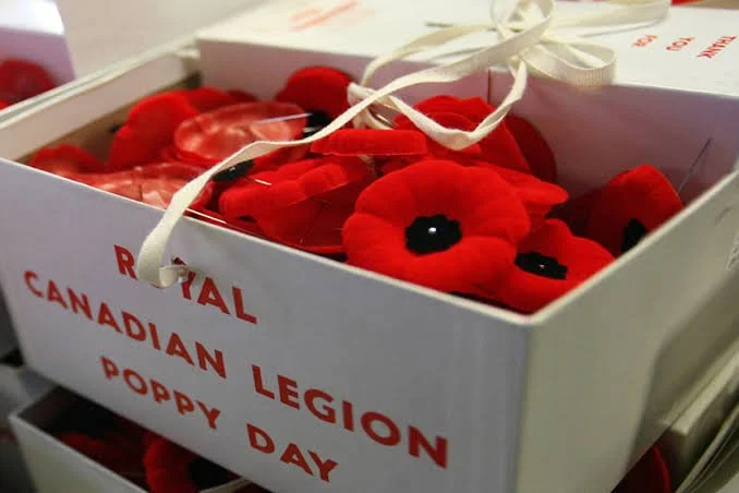2026 Poppy Campaign
