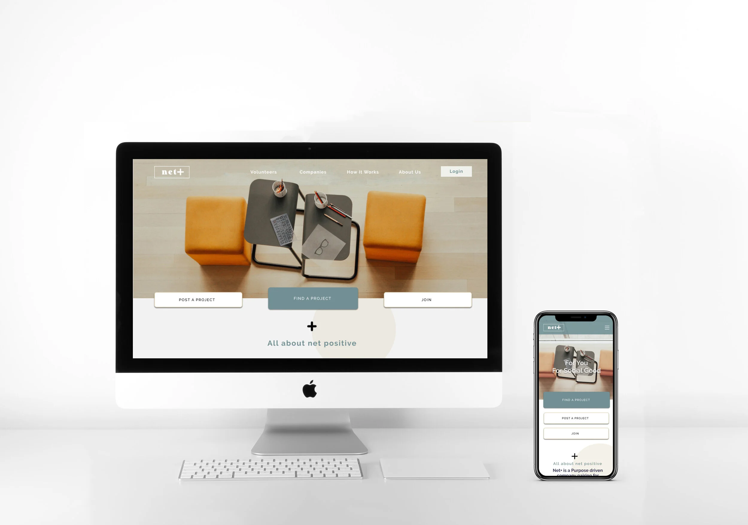 Net Positive | Job Search Platform