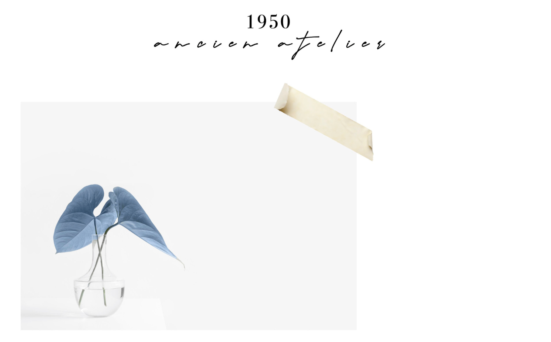 Screen Shot 2021-02-11 at 1.13.56 PM.png