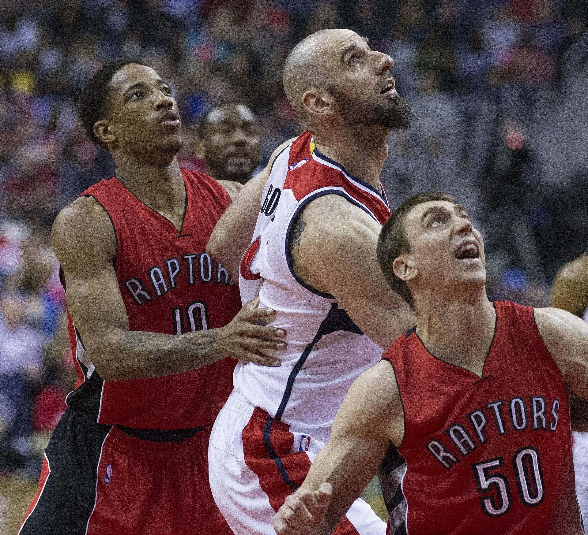 the toronto raptors have clinched a playoff spot 