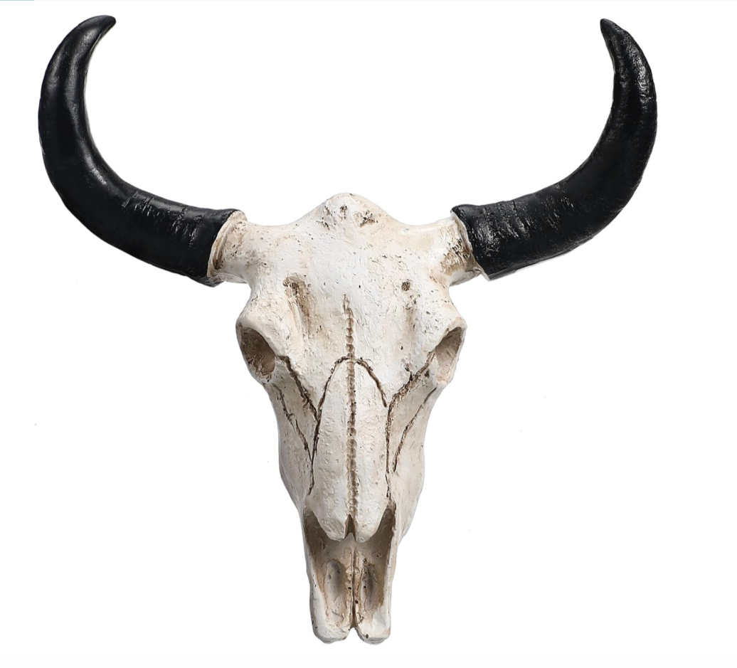 9" Cow Skull (Quantity: 6)