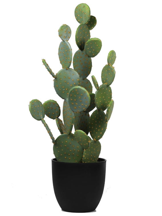 34" Prickly Pear Artificial Cactus (Quantity: 1)