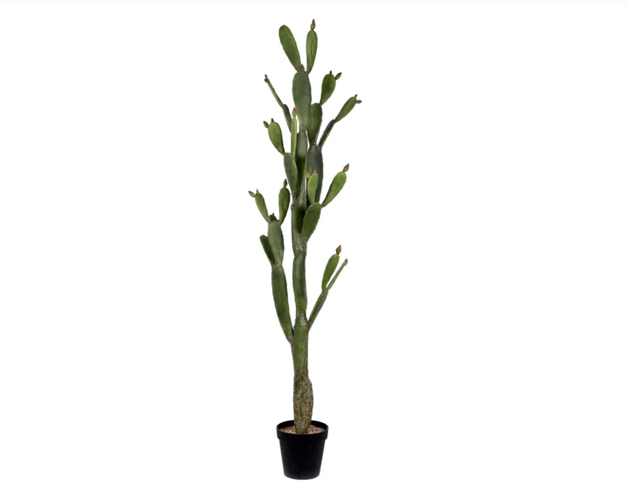 6' Artificial Cactus (Quantity: 4)
