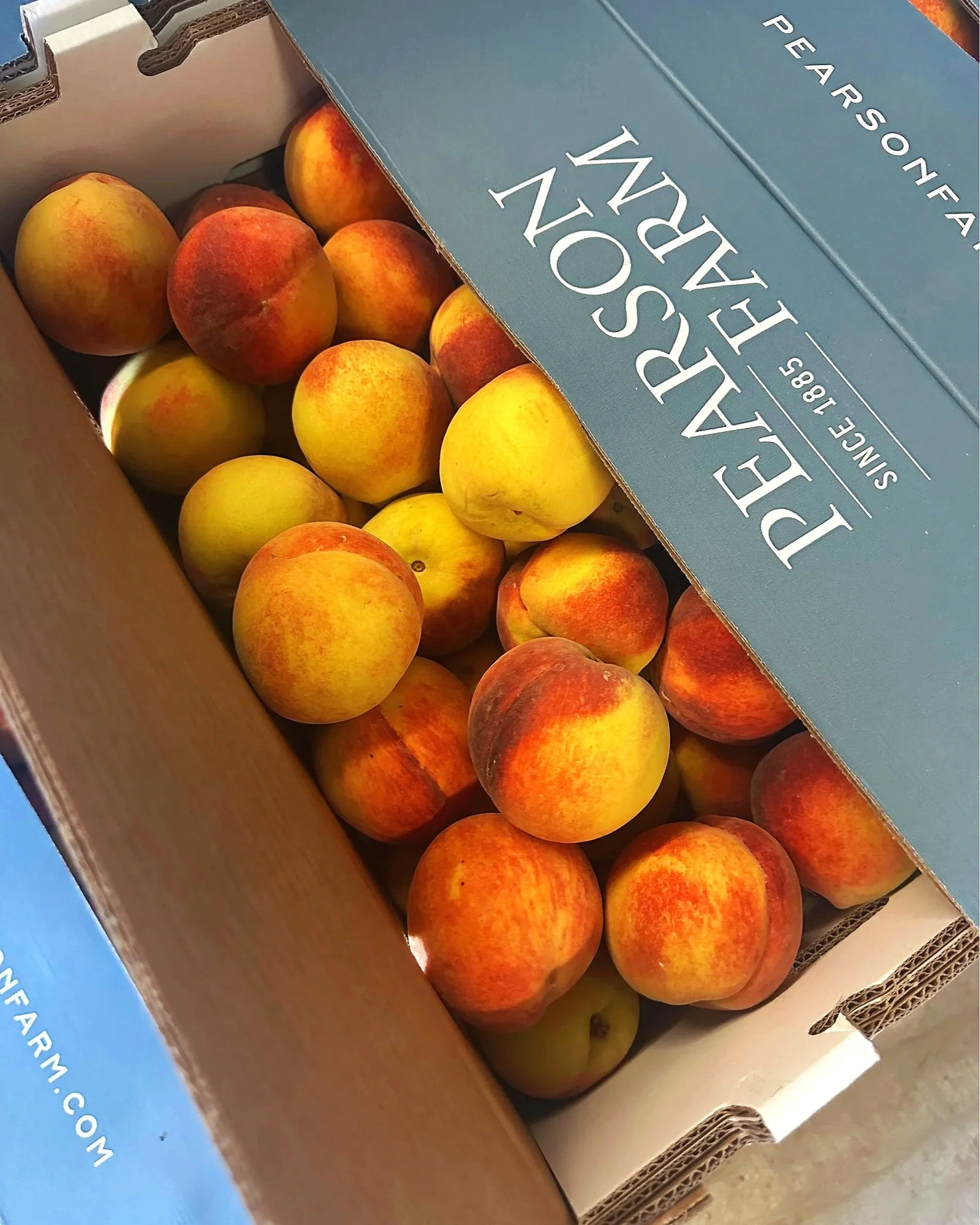 IMG_2040.jpg